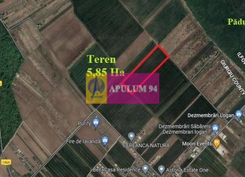Sabareni, teren intravilan construibil 5,85 ha, intre 2 paduri